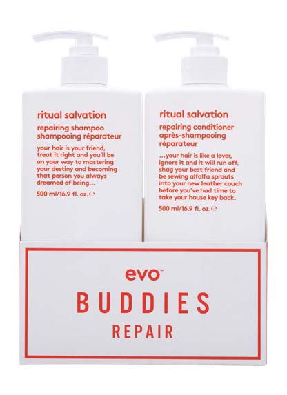evo - buddies repair (promo)
