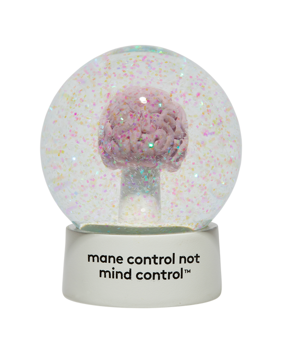 evo brain snow globe