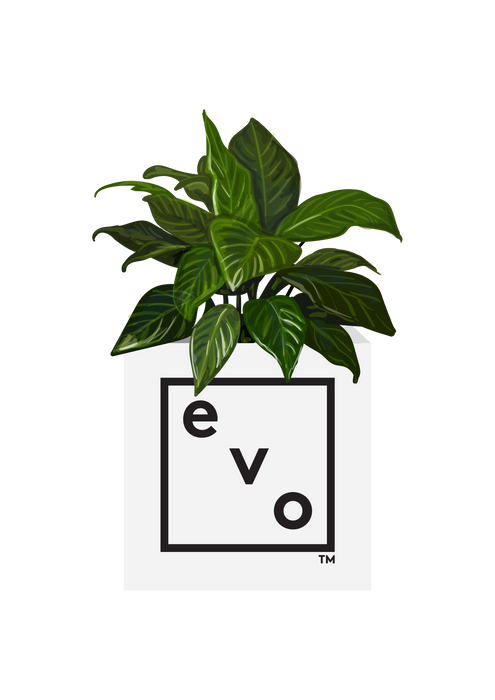 evo planter box with logo